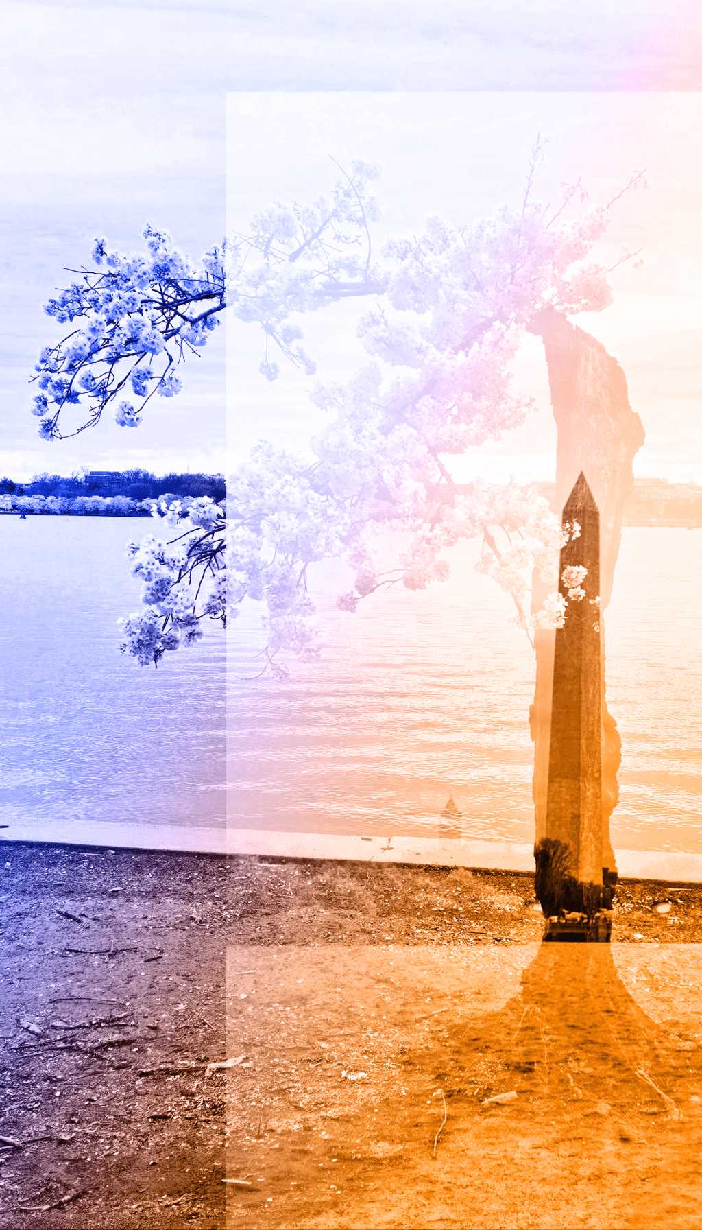 A Farewell to&nbsp;Stumpy